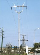 220KV electric pole